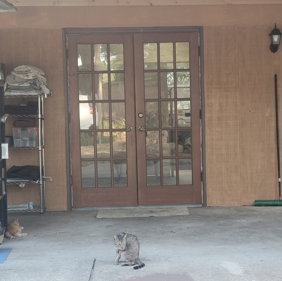 A Little Bit Of Everything!                            HI!  I Am Donna Frye! - Picture 12 of 15